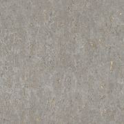 Curiosity Wallpaper (No. 538342) gallery detail image