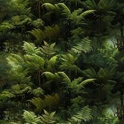 Hey Poppit Wallpaper No. Fiordland gallery detail image