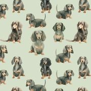 Hey Poppit Wallpaper No. Banjo gallery detail image