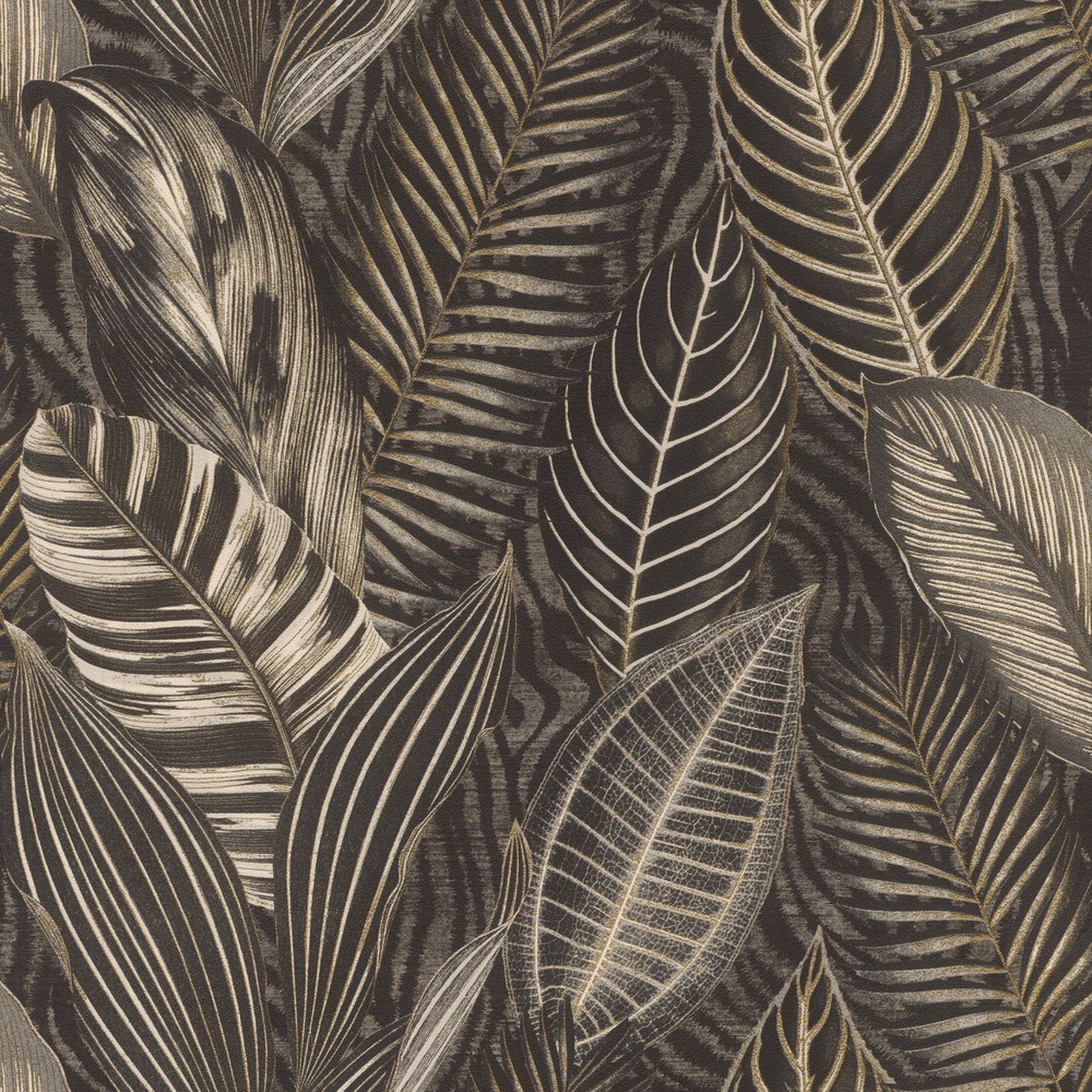 African Queen III Wallpaper (No. 751833) gallery detail image