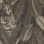 African Queen III Wallpaper (No. 751833) gallery detail image