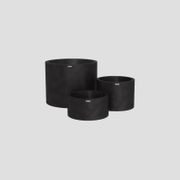 Bottomless Cylindrus Cluster gallery detail image