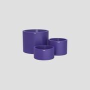 Bottomless Cylindrus Cluster gallery detail image