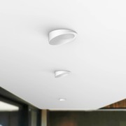 D550+ 4.0 Slice gallery detail image