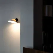 Plume Wall Light gallery detail image