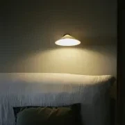 Plume Wall Light gallery detail image