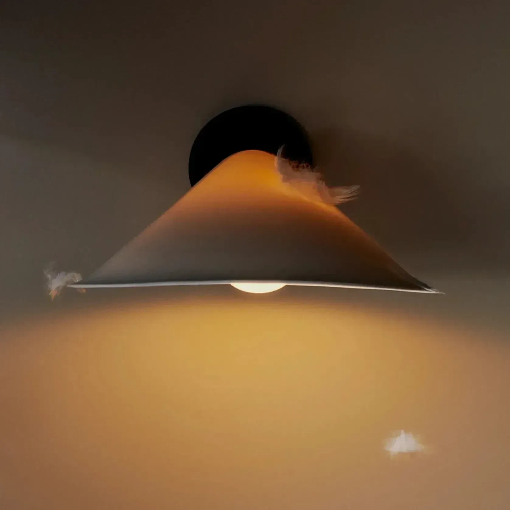 Plume Wall Light gallery detail image