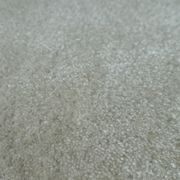 Tapis Absolute gallery detail image