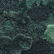 Forme gallery detail image