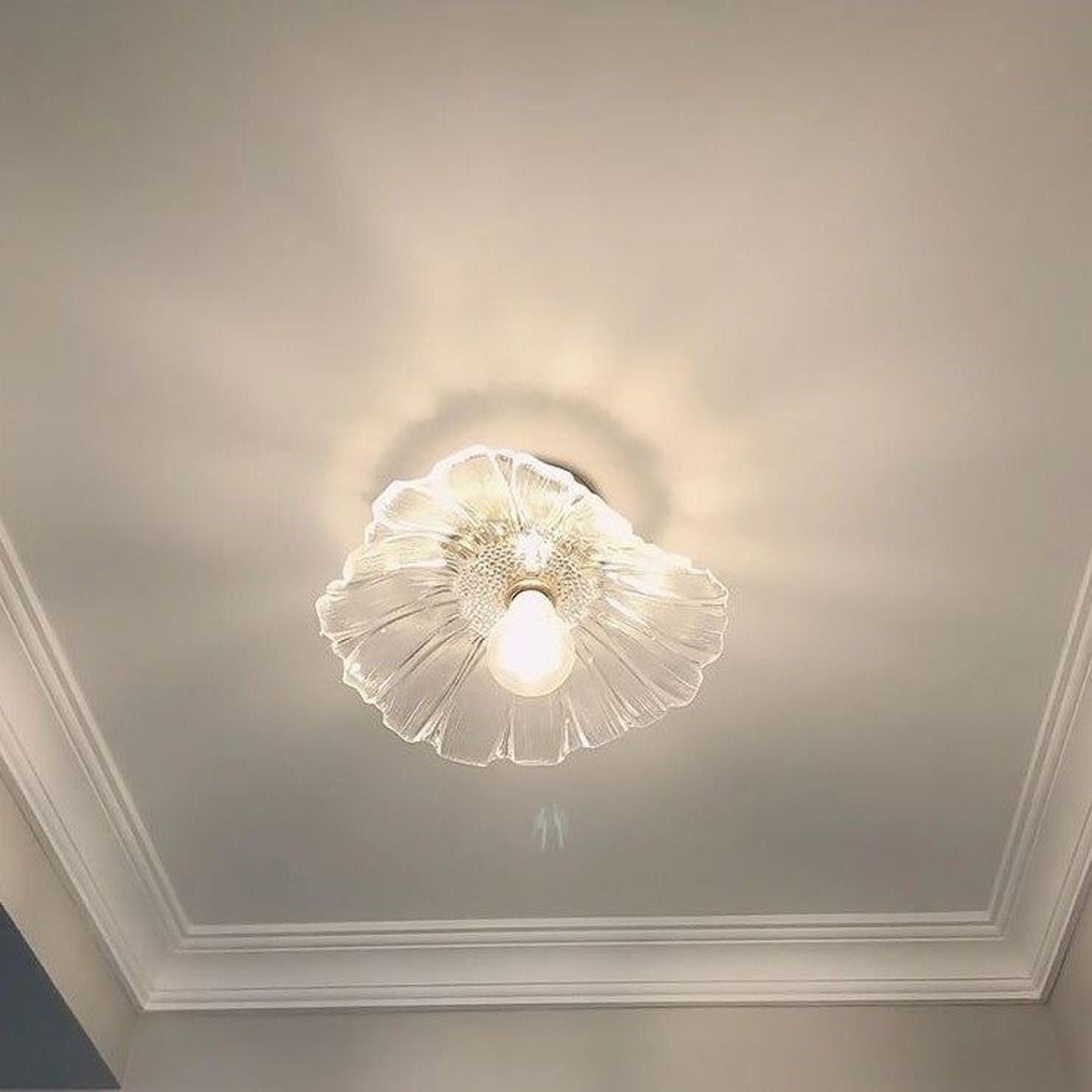 Daphne Ceiling Light gallery detail image