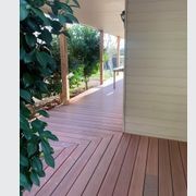 Darwin Stringybark gallery detail image