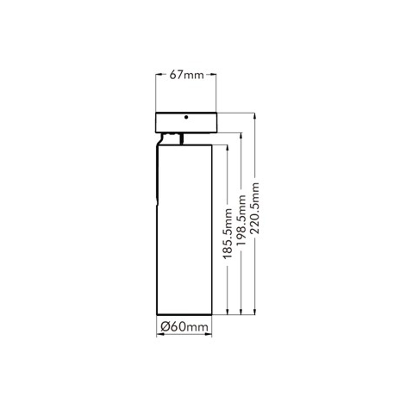 Della Can Light 20W gallery detail image