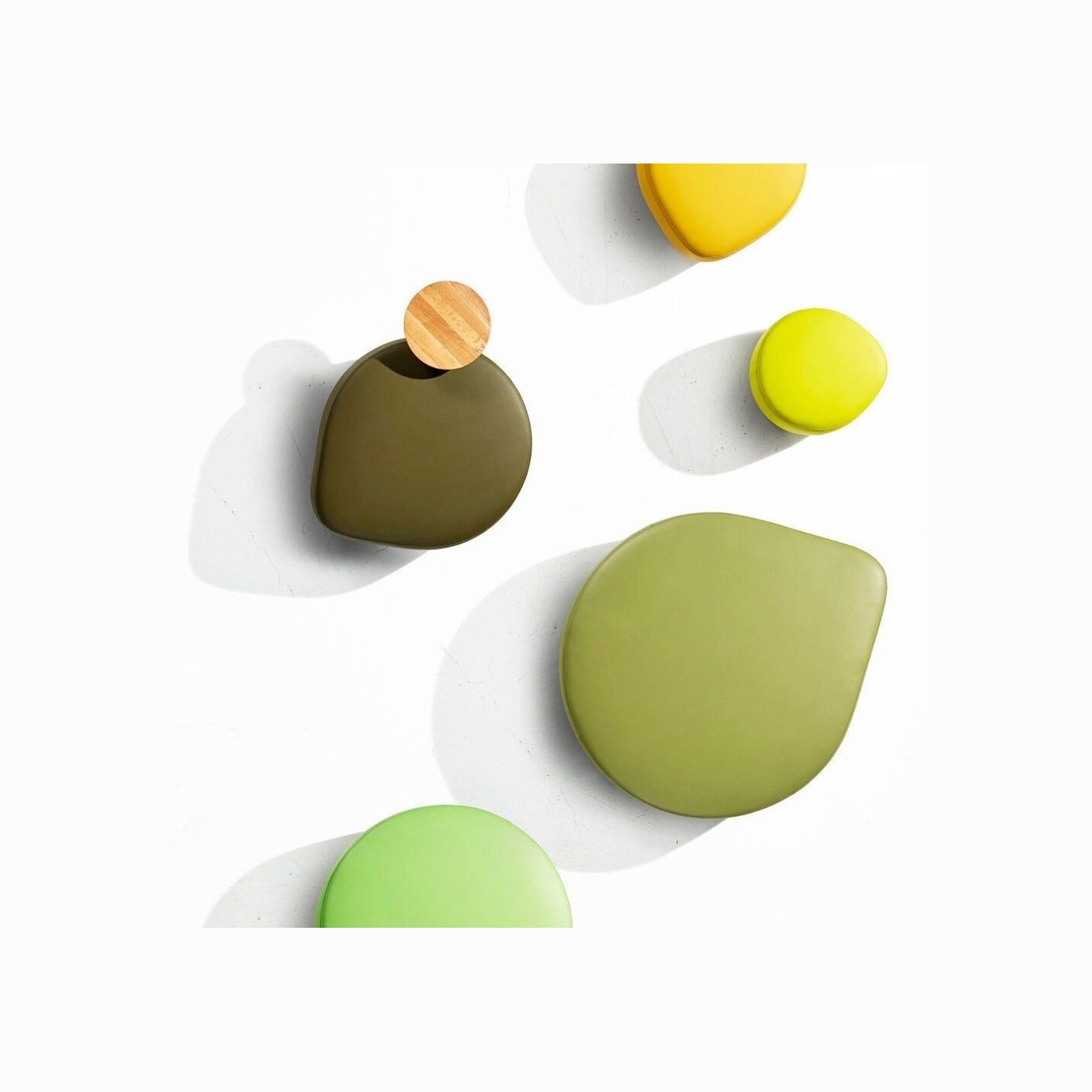 Seed gallery detail image