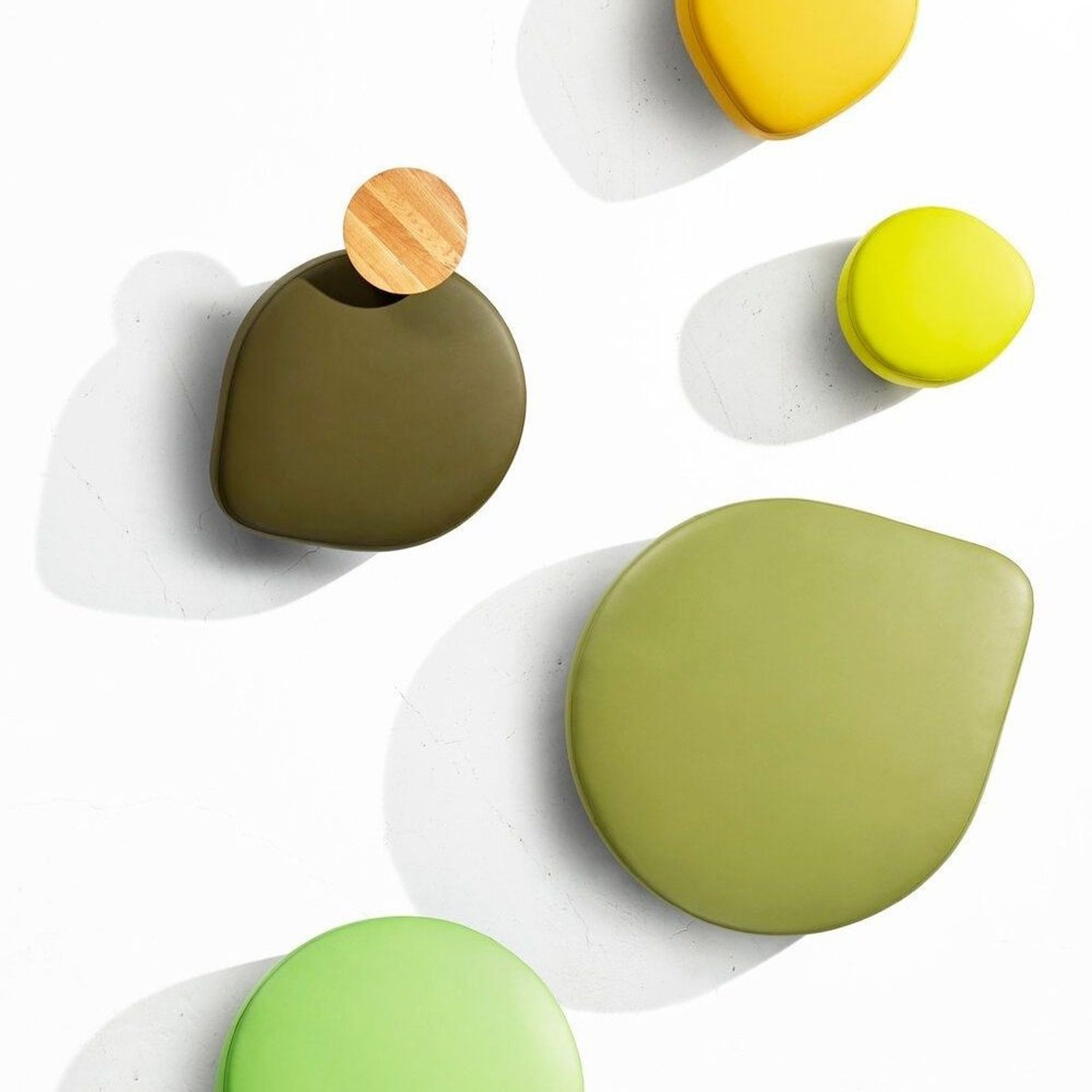 Seed gallery detail image