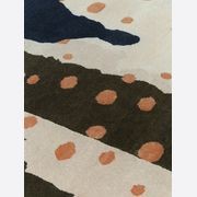 Scout gallery detail image