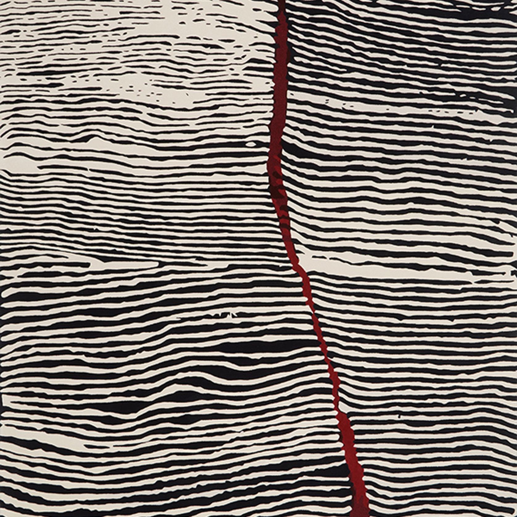 Janyinki gallery detail image