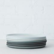 Large Dinner Plate gallery detail image