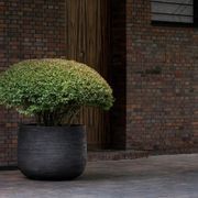 Graz Planter gallery detail image