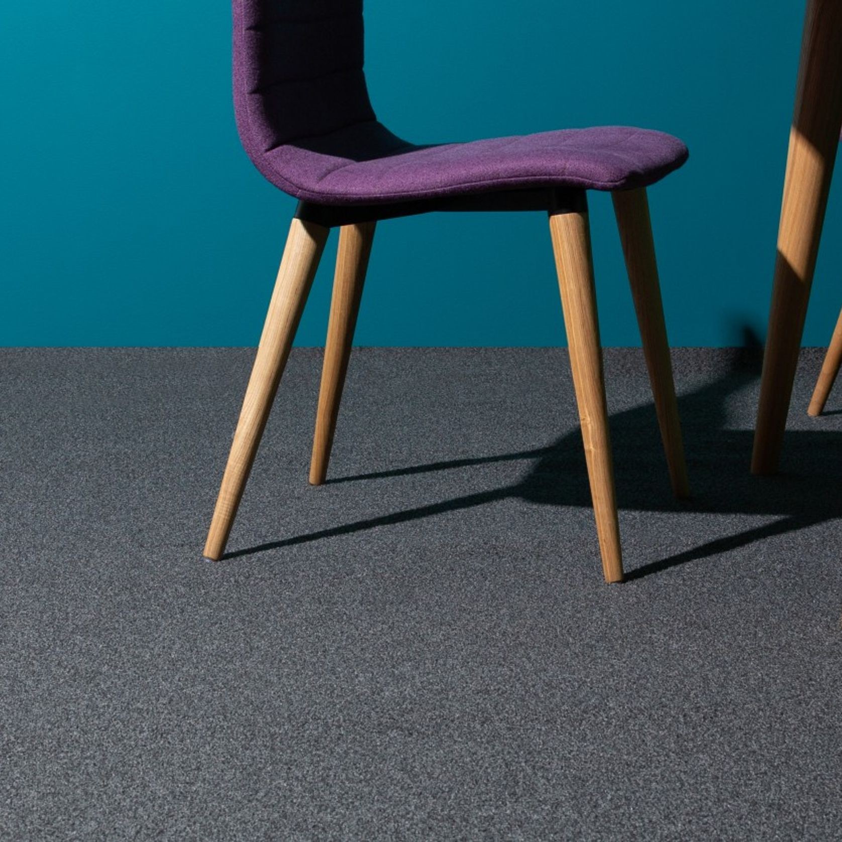 Donegal Carpet ArchiPro NZ