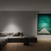 D900 + 4.0 Offset gallery detail image
