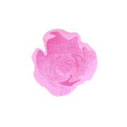 Drop gallery detail image