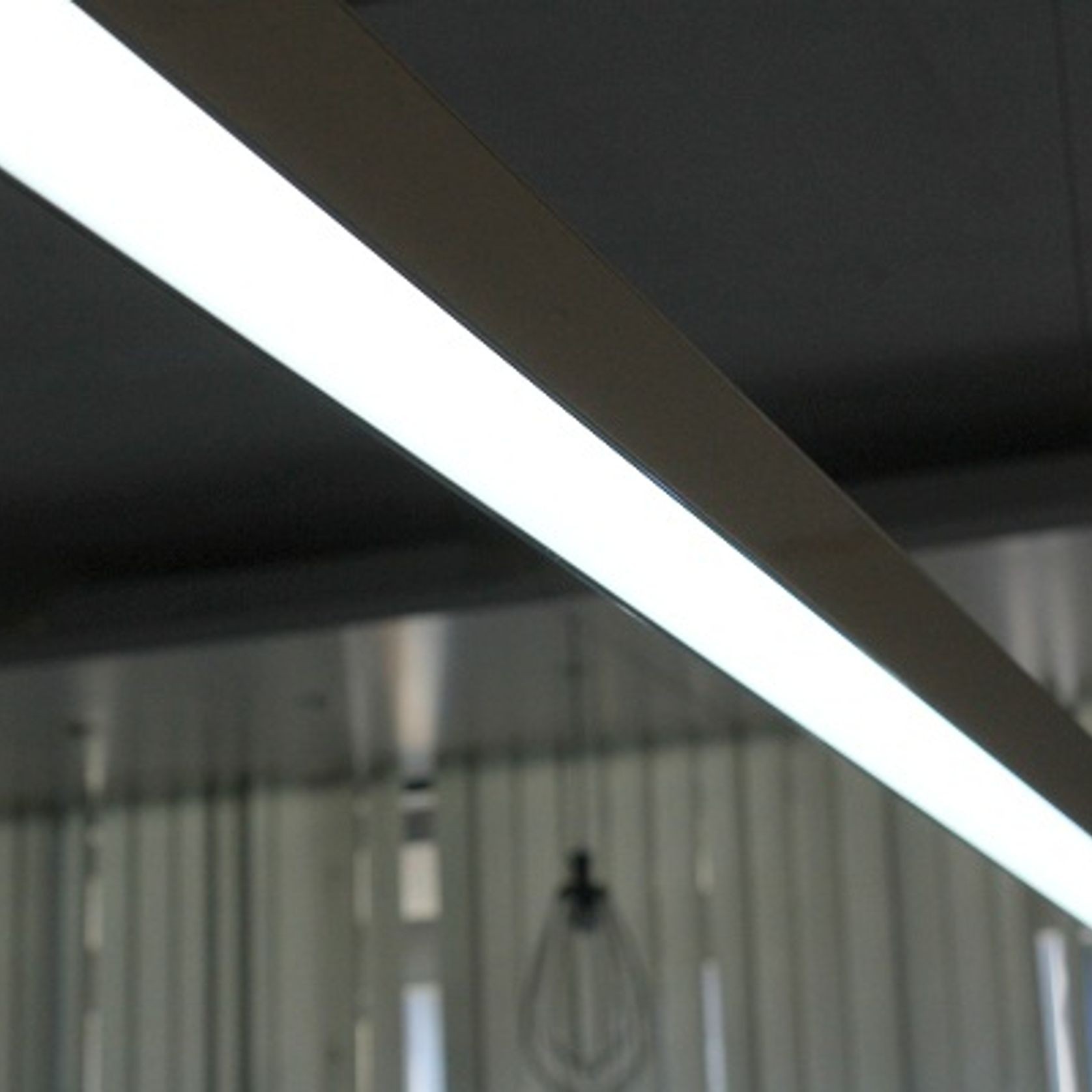 Eagle Suspended gallery detail image
