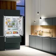 ECBN 6256 PremiumPlus | Fully Integrated French Door Fridge gallery detail image