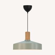 Elvas Cork Pendant Dusty Green gallery detail image