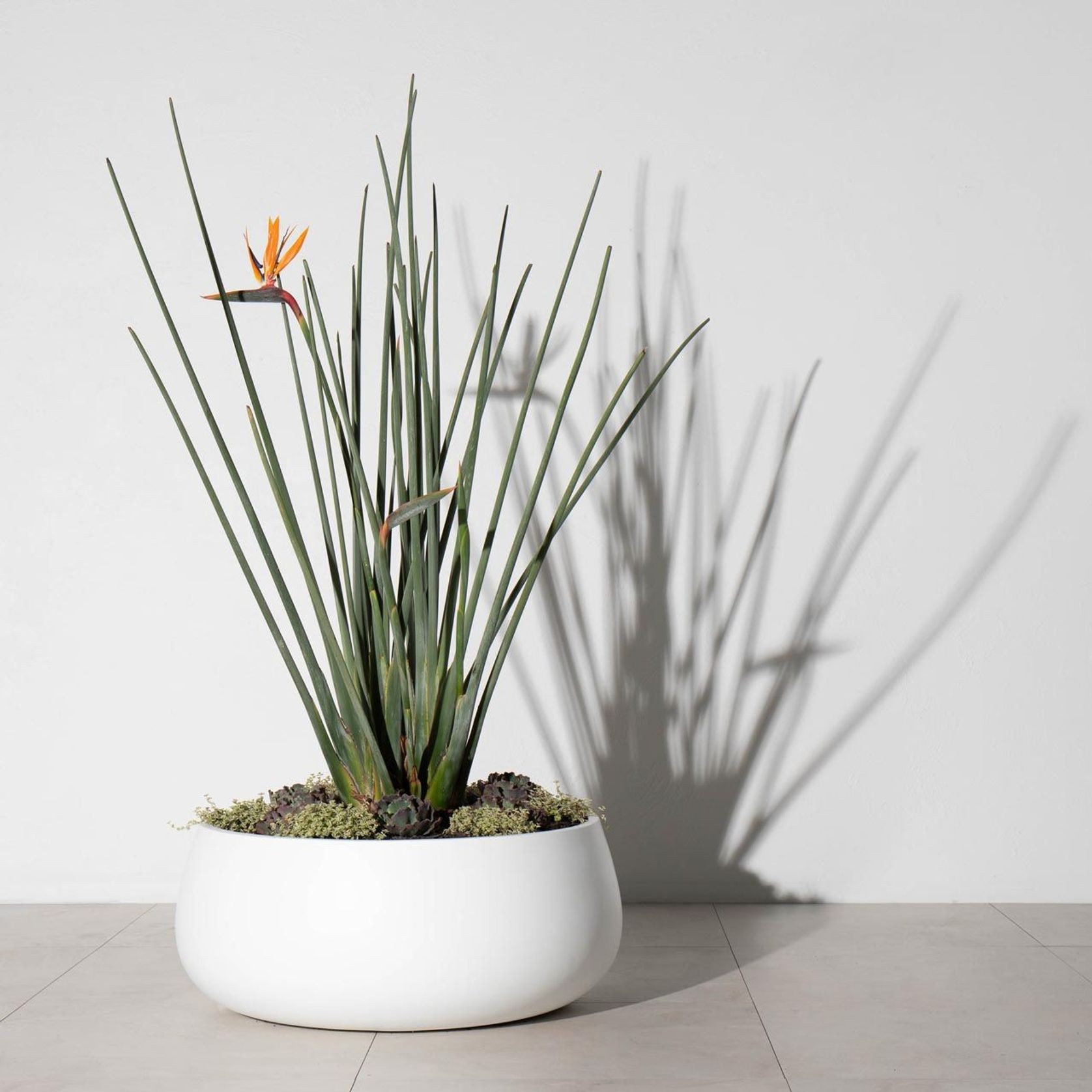 Elwood Duffel Bowl gallery detail image