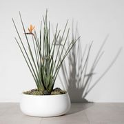 Elwood Duffel Bowl gallery detail image