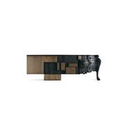 Evolution gallery detail image