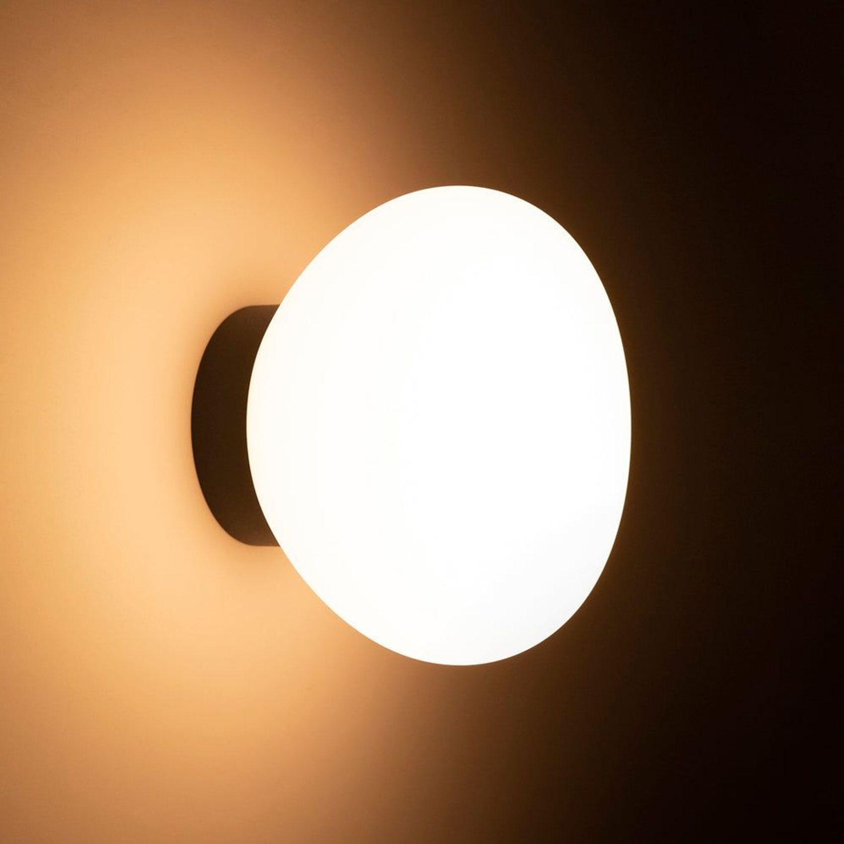 Egg Wall / Ceiling Light gallery detail image