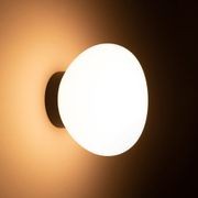 Egg Wall / Ceiling Light gallery detail image