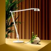 Opuntia Table Lamp gallery detail image