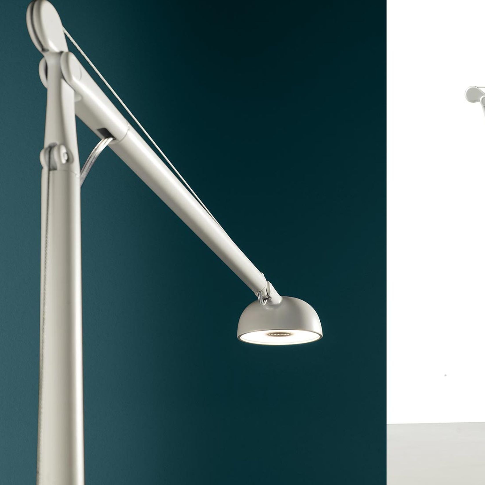 Opuntia Wall & Ceiling Lamp gallery detail image