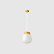 Corcovado Pendant Light gallery detail image