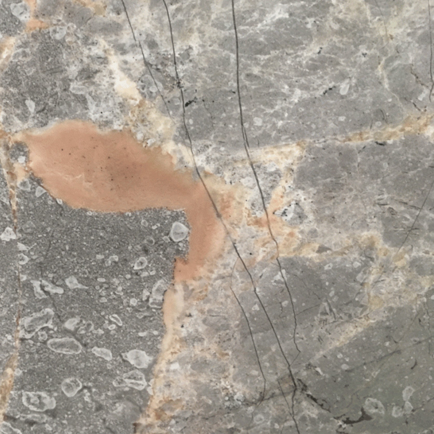 Fior Di Bosco gallery detail image