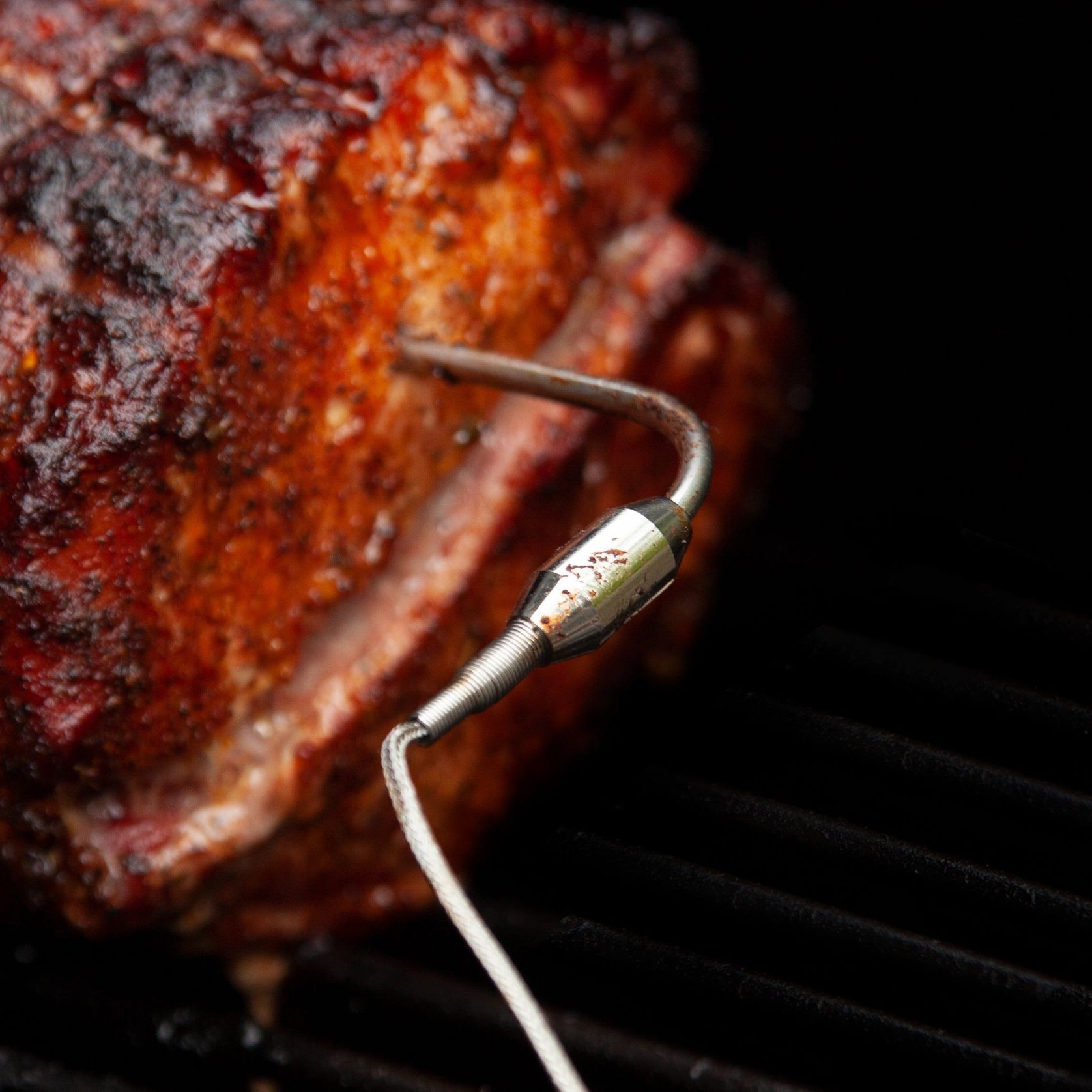 Fireboard Food Probe gallery detail image