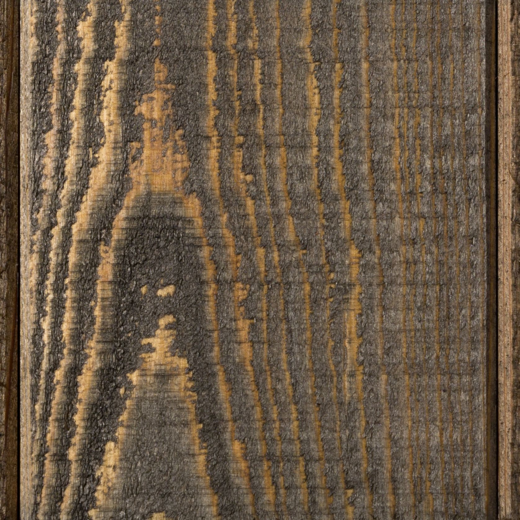 WoodX Exterior Wood Oil ArchiPro NZ