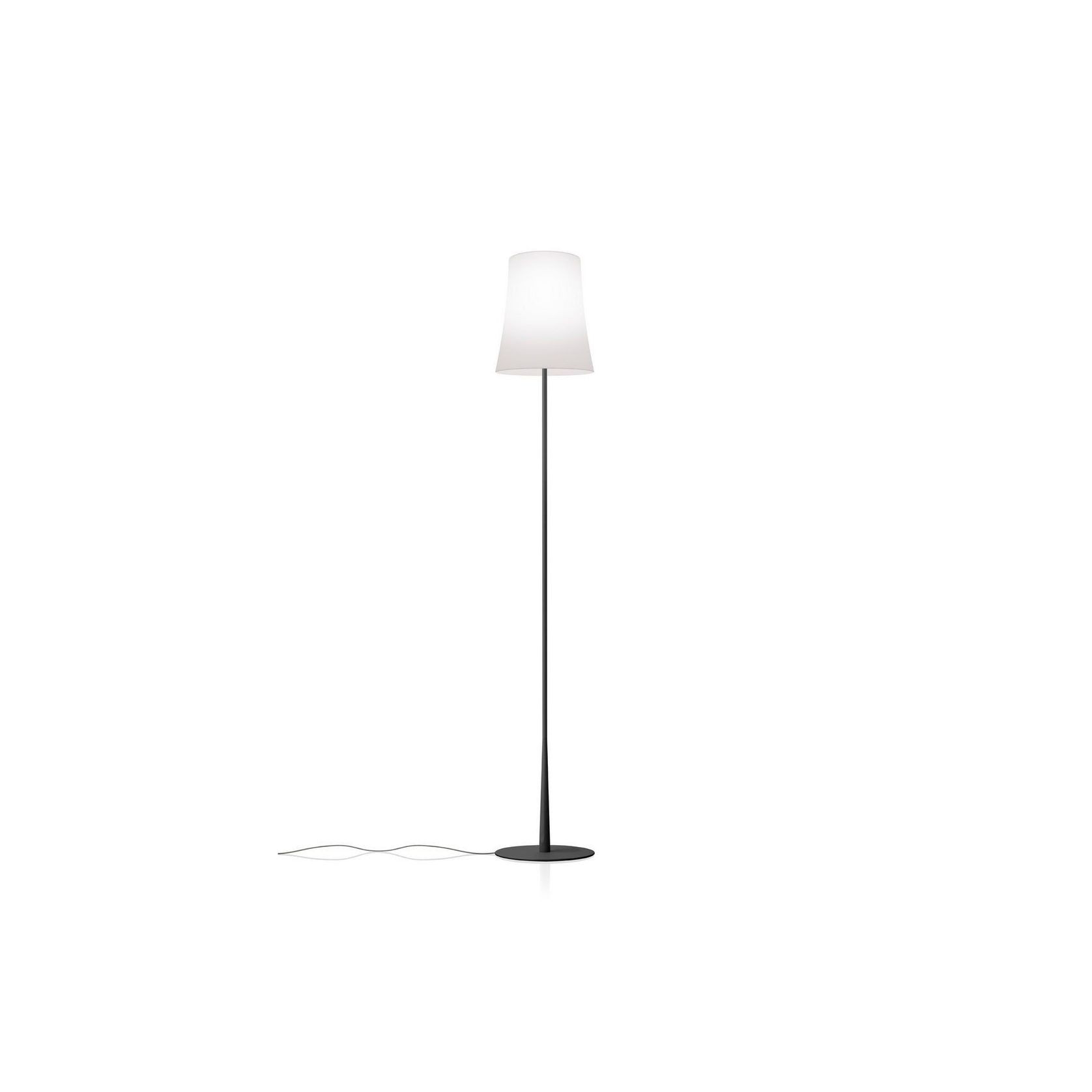 Birdie Easy Floor Lamp gallery detail image