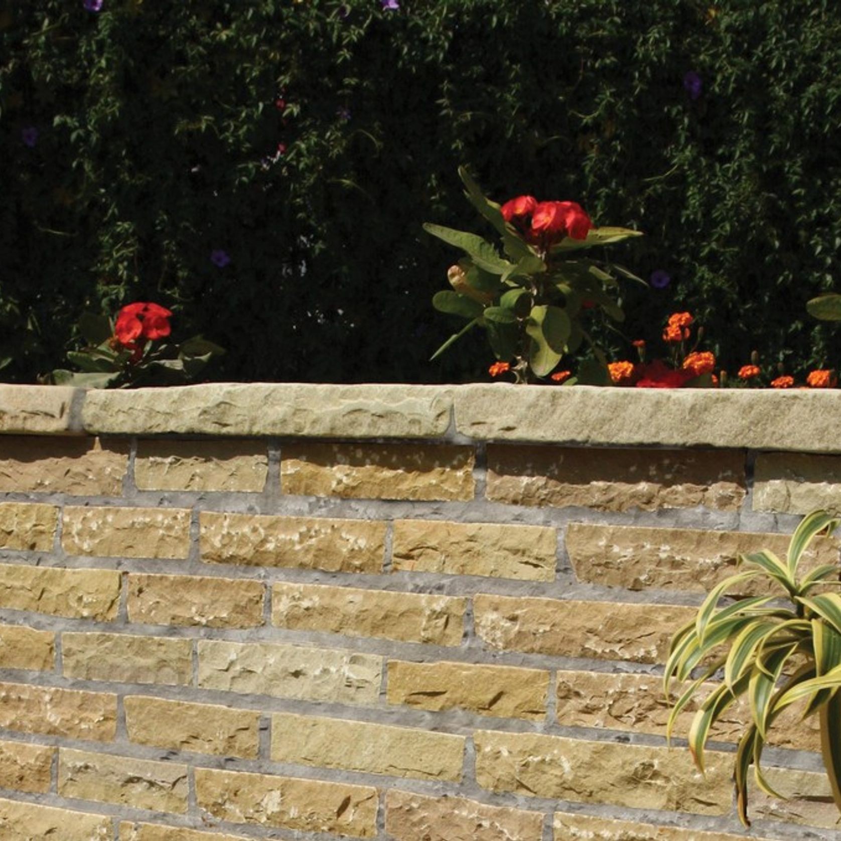 Ochre Yellow | Natural Stone Walling gallery detail image