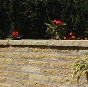 Ochre Yellow | Natural Stone Walling gallery detail image