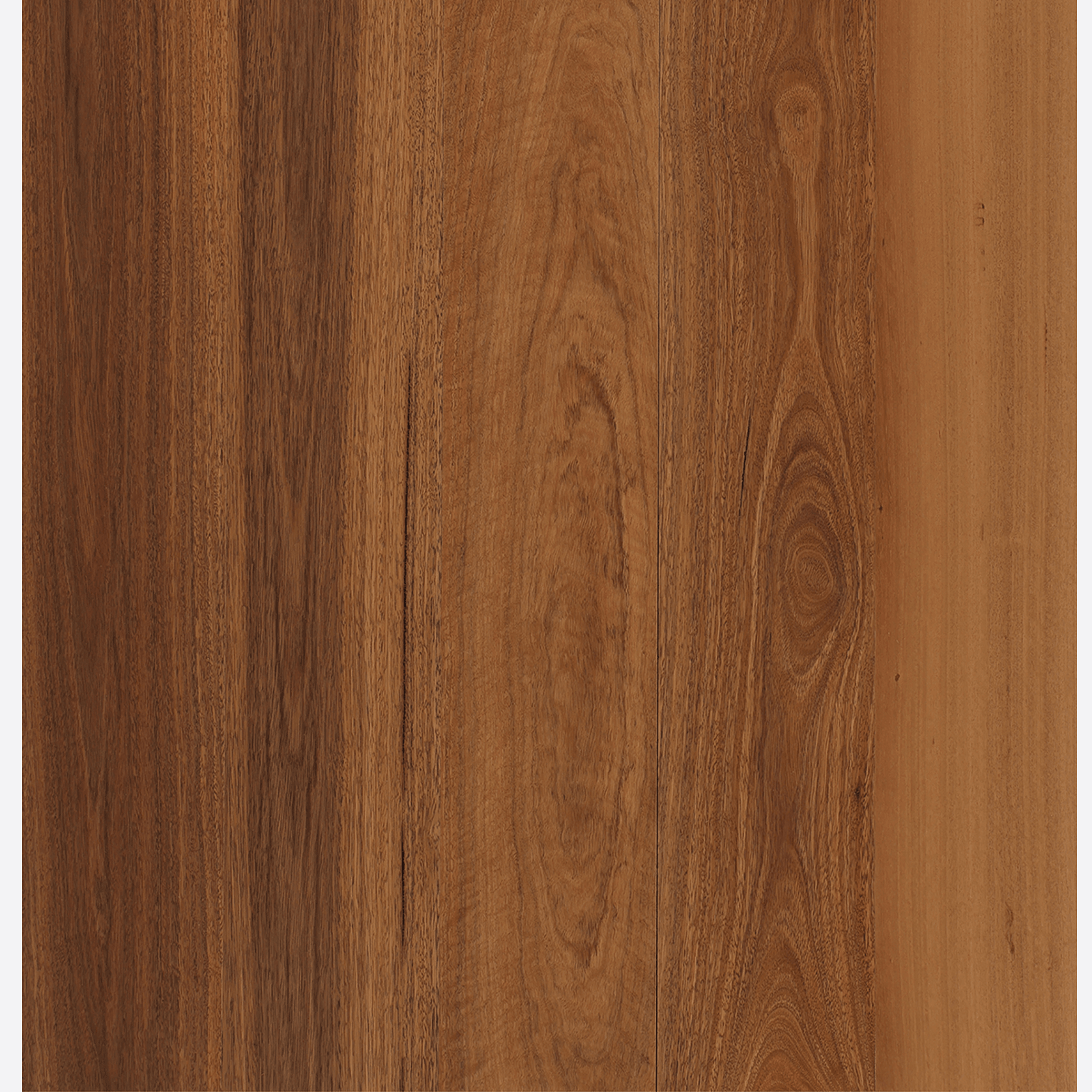 Spotted Gum | Maison Engineered Flooring gallery detail image