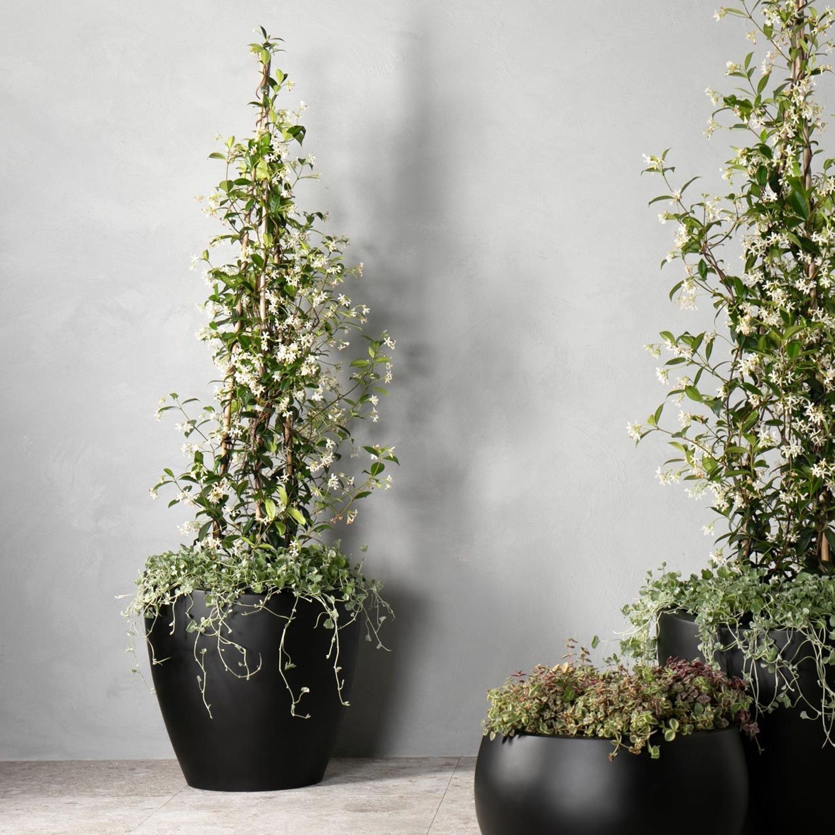 Glen Iris Angled Vase gallery detail image