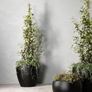 Glen Iris Angled Vase gallery detail image