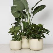 Gothenburg Lined Cylinder gallery detail image