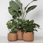 Gothenburg Lined Cylinder gallery detail image