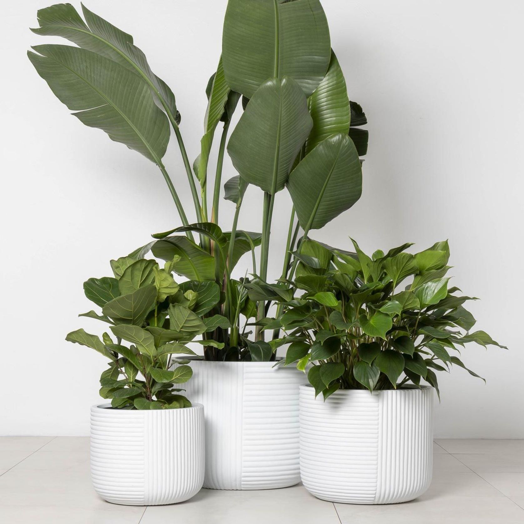 Gothenburg Lined Cylinder gallery detail image