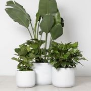 Gothenburg Lined Cylinder gallery detail image