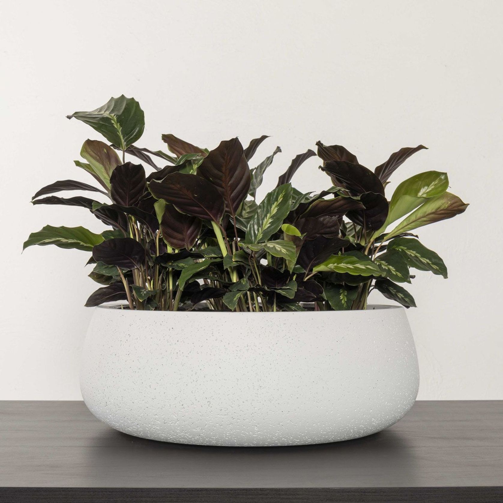 Gran Canaria Table Bowl gallery detail image